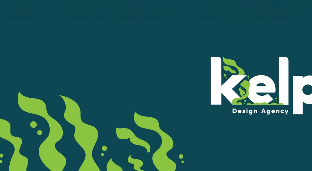Introducing Kelp—Hernando County&#8217;s First Design &#038; Development Agency